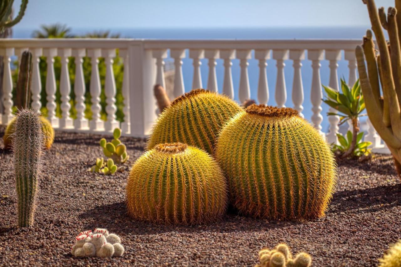 Mogán Stunning Villa With Breathtaking Ocean View מראה חיצוני תמונה